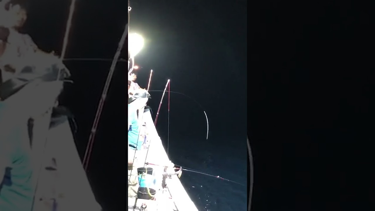 鳥取のシロイカ釣り