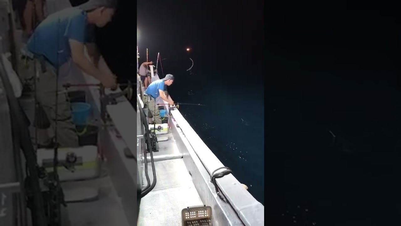 白いか釣りガリガリ丸
