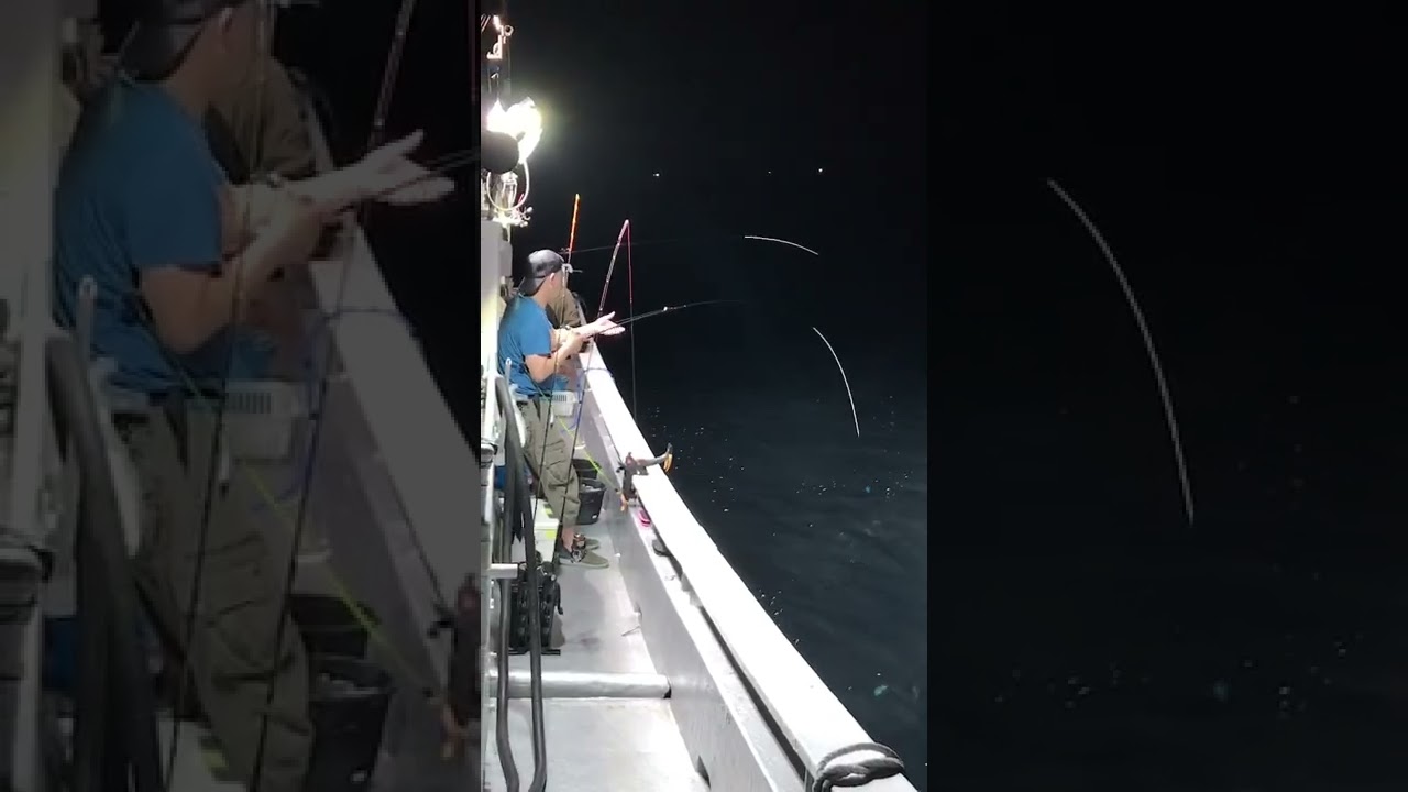 鳥取の白いか釣り遊漁船